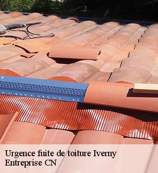 Urgence fuite de toiture  77165