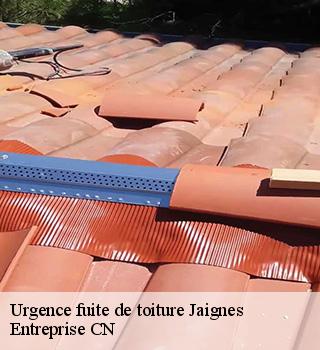 Urgence fuite de toiture  77440