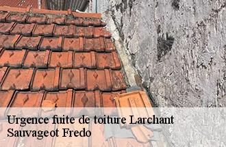 Urgence fuite de toiture larchant-77760 Sauvageot Fredo