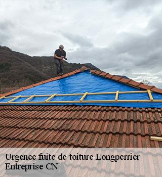 Urgence fuite de toiture 77230