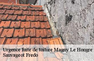 Urgence fuite de toiture magny-le-hongre-77700 Sauvageot Fredo