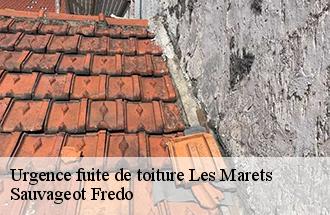 Urgence fuite de toiture  les-marets-77560 Sauvageot Fredo