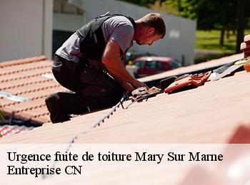 Urgence fuite de toiture mary-sur-marne-77440 Entreprise CN