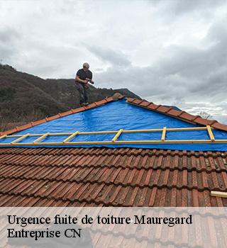 Urgence fuite de toiture 77990