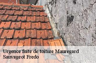 Urgence fuite de toiture  mauregard-77990 Sauvageot Fredo