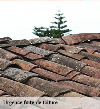 Urgence fuite de toiture  77000