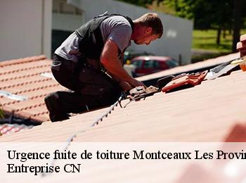 Urgence fuite de toiture  montceaux-les-provins-77151 Entreprise CN