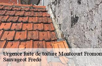 Urgence fuite de toiture montcourt-fromonville-77140 Sauvageot Fredo