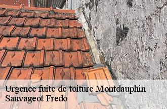 Urgence fuite de toiture montdauphin-77320 Sauvageot Fredo