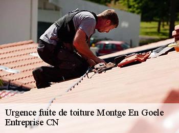 Urgence fuite de toiture  montge-en-goele-77230 Entreprise CN