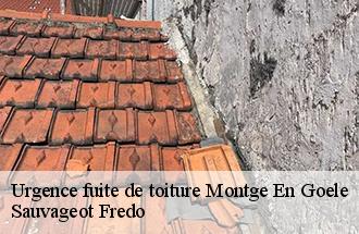 Urgence fuite de toiture  montge-en-goele-77230 Sauvageot Fredo