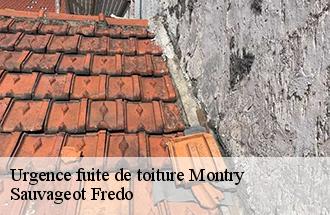 Urgence fuite de toiture montry-77450 Sauvageot Fredo