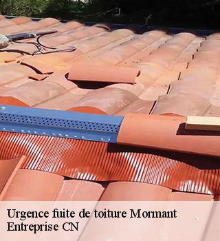 Urgence fuite de toiture 77720