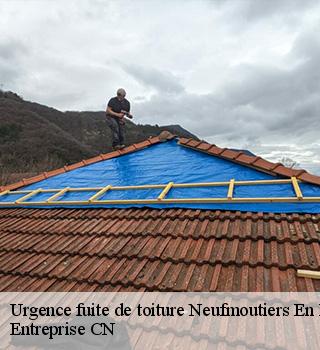 Urgence fuite de toiture  77610