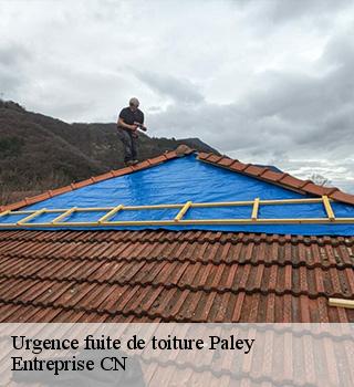 Urgence fuite de toiture 77710