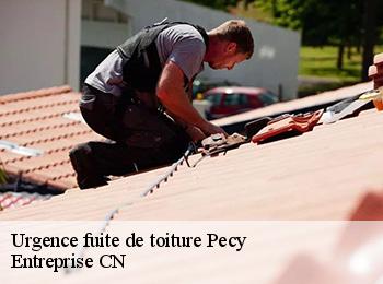 Urgence fuite de toiture pecy-77970 Entreprise CN