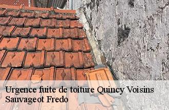 Urgence fuite de toiture quincy-voisins-77860 Sauvageot Fredo