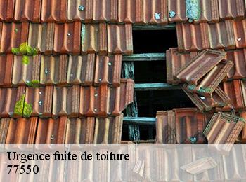 Urgence fuite de toiture 77550
