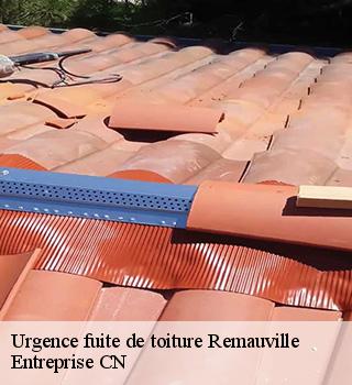 Urgence fuite de toiture  77710
