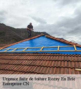 Urgence fuite de toiture  77540