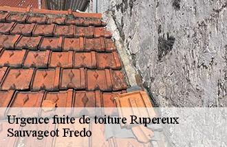 Urgence fuite de toiture  rupereux-77560 Sauvageot Fredo