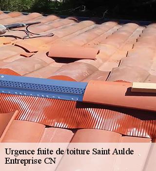 Urgence fuite de toiture 77260