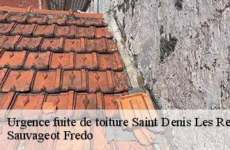 Urgence fuite de toiture saint-denis-les-rebais-77510 Sauvageot Fredo