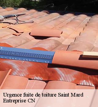 Urgence fuite de toiture  77230