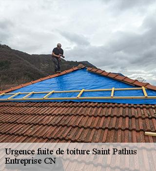 Urgence fuite de toiture 77178