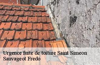 Urgence fuite de toiture saint-simeon-77169 Sauvageot Fredo