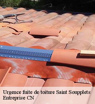 Urgence fuite de toiture 77165