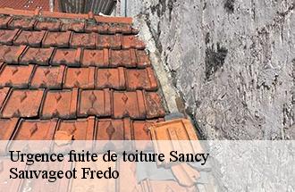 Urgence fuite de toiture sancy-77580 Sauvageot Fredo
