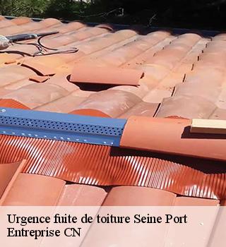 Urgence fuite de toiture 77240