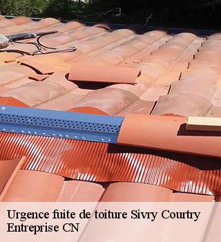 Urgence fuite de toiture 77115
