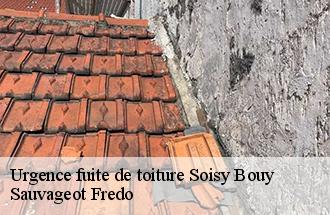 Urgence fuite de toiture soisy-bouy-77650 Sauvageot Fredo