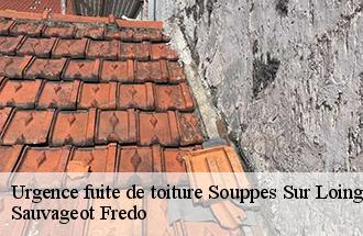 Urgence fuite de toiture souppes-sur-loing-77460 Sauvageot Fredo