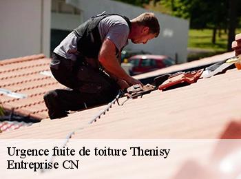 Urgence fuite de toiture thenisy-77520 Entreprise CN