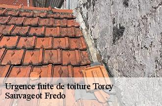 Urgence fuite de toiture  torcy-77200 Sauvageot Fredo