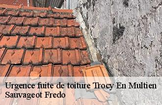 Urgence fuite de toiture  trocy-en-multien-77440 Sauvageot Fredo