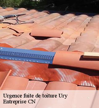 Urgence fuite de toiture  77760
