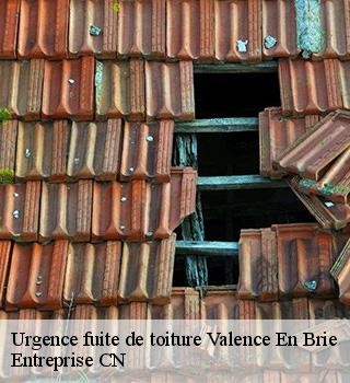Urgence fuite de toiture  77830