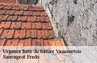 Urgence fuite de toiture vaucourtois-77580 Sauvageot Fredo