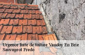 Urgence fuite de toiture vaudoy-en-brie-77141 Sauvageot Fredo
