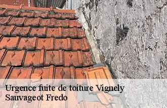Urgence fuite de toiture vignely-77450 Sauvageot Fredo