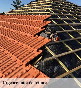 Urgence fuite de toiture 77154