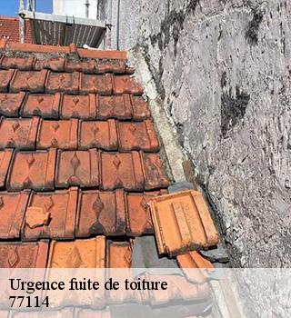 Urgence fuite de toiture  77114