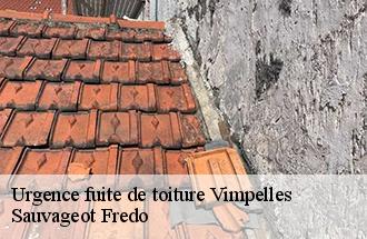 Urgence fuite de toiture vimpelles-77520 Sauvageot Fredo