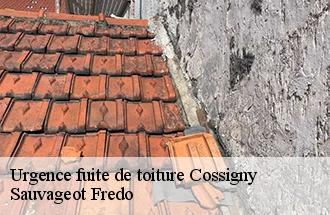 Urgence fuite de toiture cossigny-77173 Sauvageot Fredo