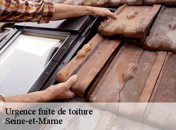 Urgence fuite de toiture  