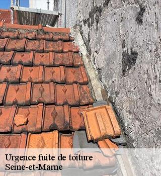 Urgence fuite de toiture  